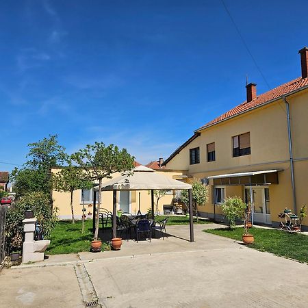 Apartments Kuca Aleksic Nis Exterior photo