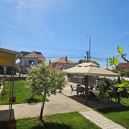 Apartments Kuca Aleksic Nis Exterior photo