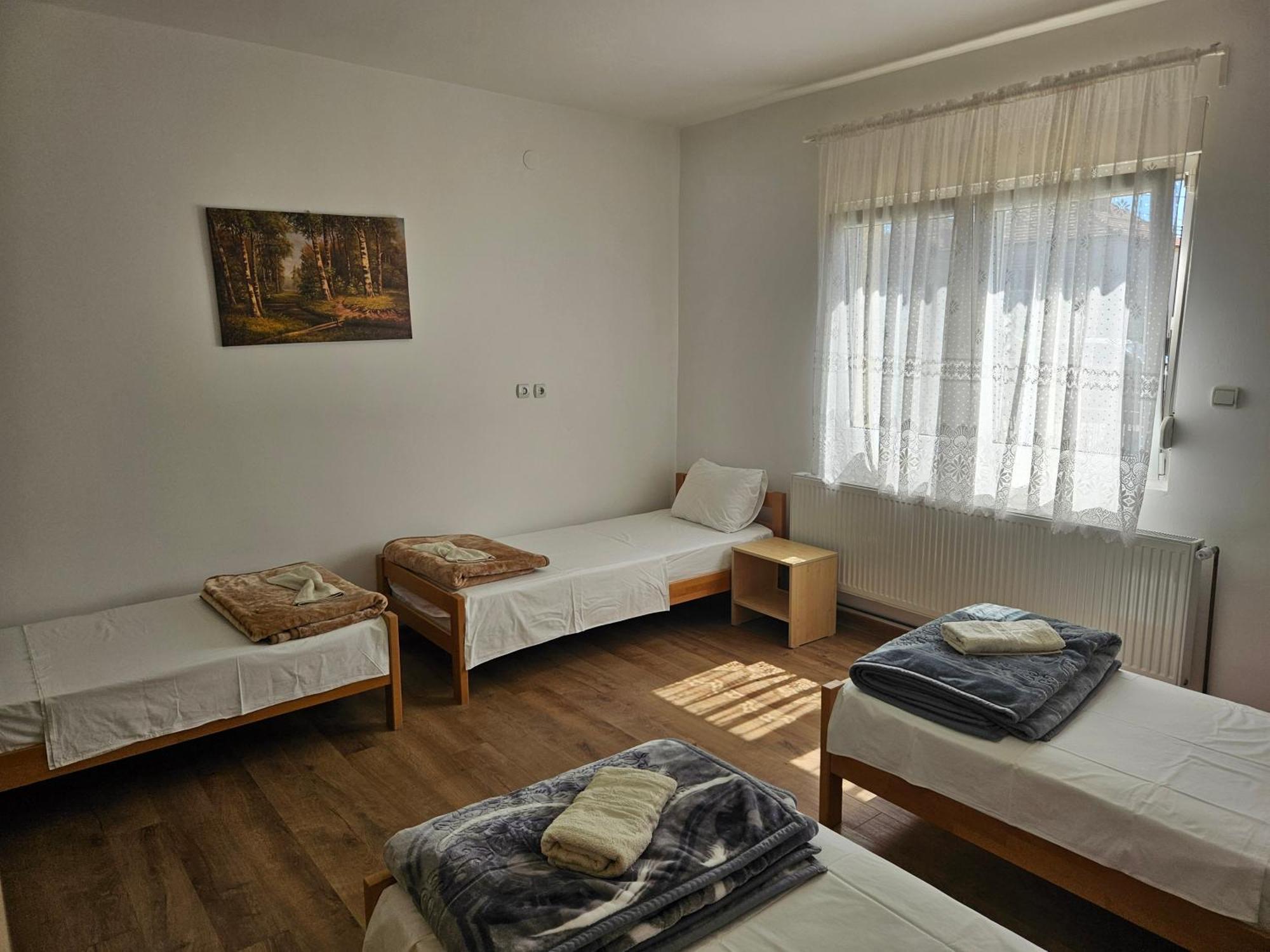 Apartments Kuca Aleksic Nis Exterior photo